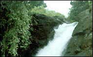wayanad